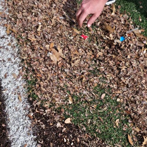 Collected Debris
