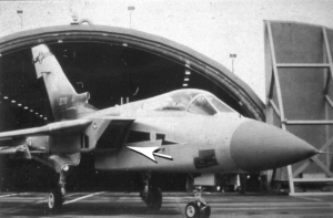 fod boss sweeper